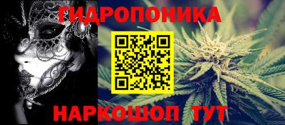 шишки Краснознаменск